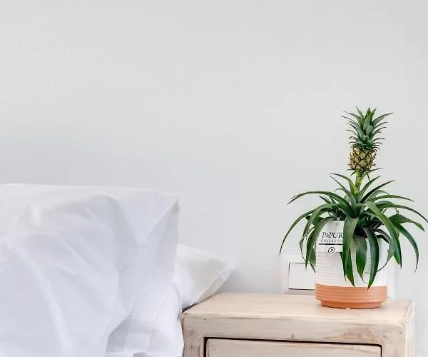 Appartamento Theogonia *